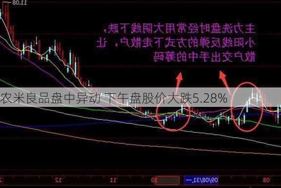 农米良品盘中异动 下午盘股价大跌5.28%