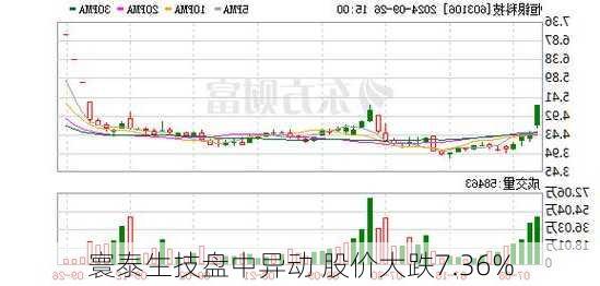 寰泰生技盘中异动 股价大跌7.36%