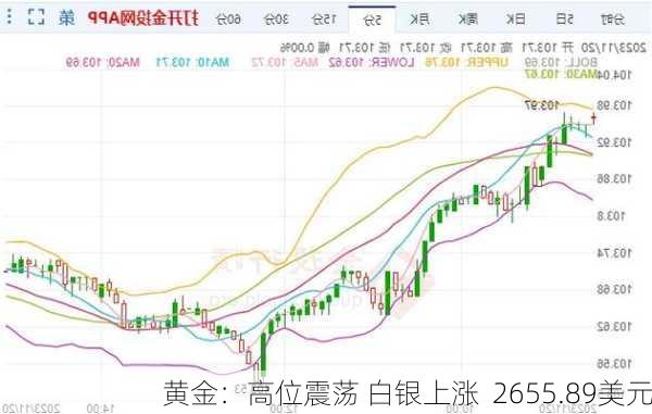 黄金：高位震荡 白银上涨  2655.89美元