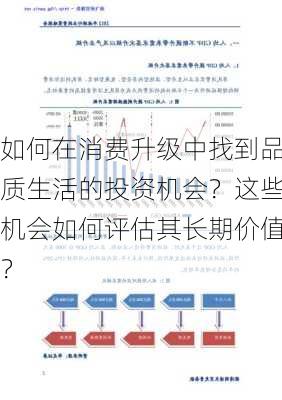 如何在消费升级中找到品质生活的投资机会？这些机会如何评估其长期价值？