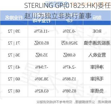 STERLING GP(01825.HK)委任赵川为独立非执行董事