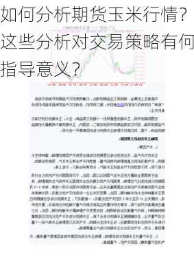 如何分析期货玉米行情？这些分析对交易策略有何指导意义？