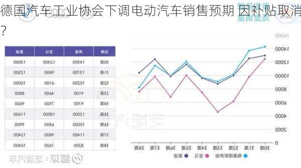 德国汽车工业协会下调电动汽车销售预期 因补贴取消？