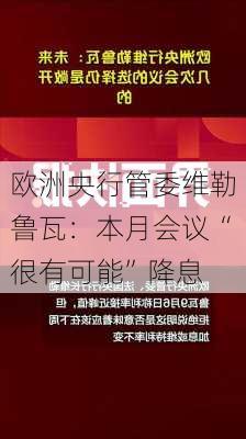 欧洲央行管委维勒鲁瓦：本月会议“很有可能”降息