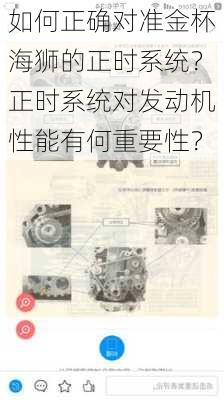 如何正确对准金杯海狮的正时系统？正时系统对发动机性能有何重要性？