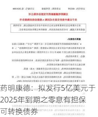 药明康德：拟发行5亿美元于2025年到期之零息有担保可转换债券