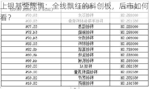 上银基金陈博：全线飘红的科创板，后市如何看？