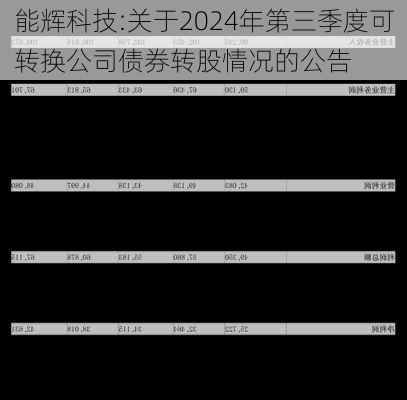 能辉科技:关于2024年第三季度可转换公司债券转股情况的公告