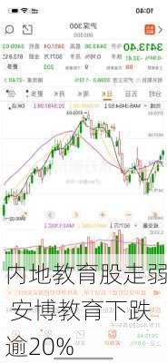 内地教育股走弱 安博教育下跌逾20%