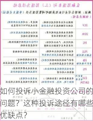 如何投诉小金融投资公司的问题？这种投诉途径有哪些优缺点？