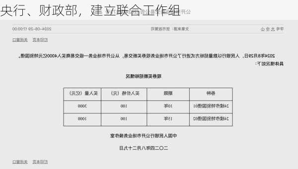 央行、财政部，建立联合工作组