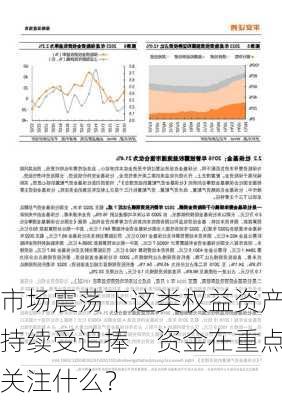 市场震荡下这类权益资产持续受追捧，资金在重点关注什么？