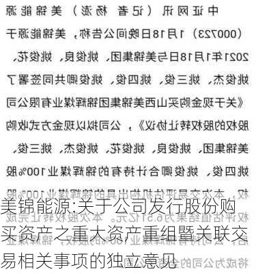 美锦能源:关于公司发行股份购买资产之重大资产重组暨关联交易相关事项的独立意见