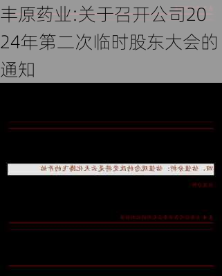 丰原药业:关于召开公司2024年第二次临时股东大会的通知