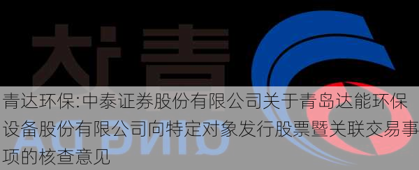 青达环保:中泰证券股份有限公司关于青岛达能环保设备股份有限公司向特定对象发行股票暨关联交易事项的核查意见