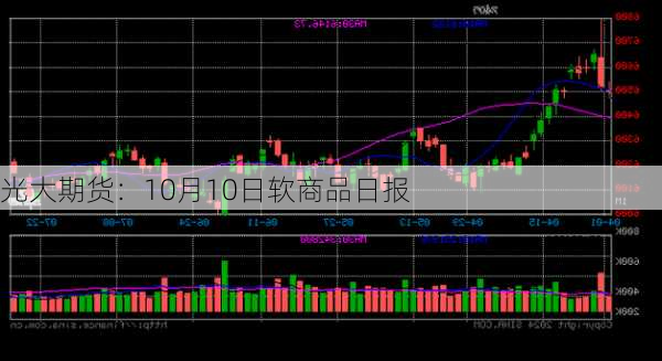 光大期货：10月10日软商品日报