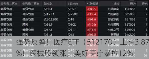 强势反弹！医疗ETF（512170）上探3.87%！医械股领涨，美好医疗暴拉12%