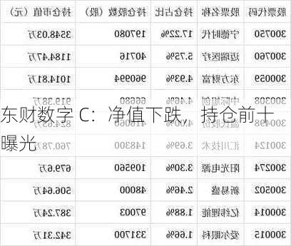 东财数字 C：净值下跌，持仓前十曝光