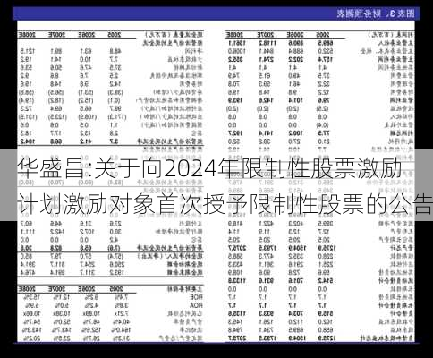 华盛昌:关于向2024年限制性股票激励计划激励对象首次授予限制性股票的公告