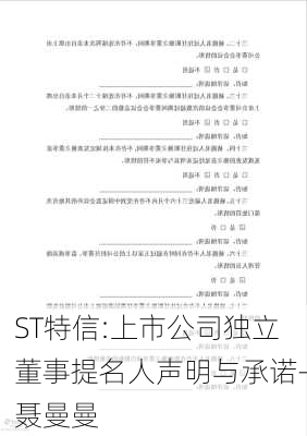 ST特信:上市公司独立董事提名人声明与承诺-聂曼曼