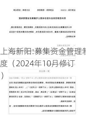 上海新阳:募集资金管理制度（2024年10月修订）