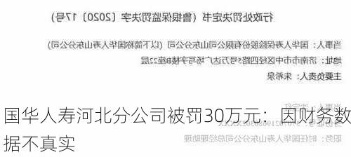 国华人寿河北分公司被罚30万元：因财务数据不真实