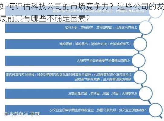 如何评估科技公司的市场竞争力？这些公司的发展前景有哪些不确定因素？