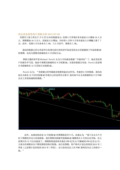 如何分析的炒黄金行业？这些分析对投资策略有何启示？