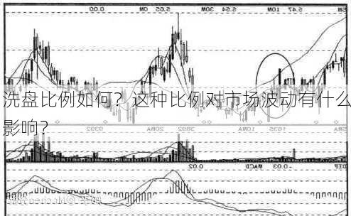 洗盘比例如何？这种比例对市场波动有什么影响？