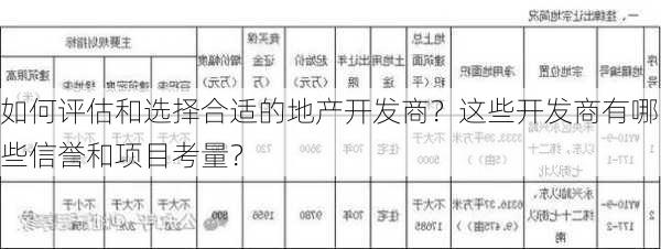 如何评估和选择合适的地产开发商？这些开发商有哪些信誉和项目考量？