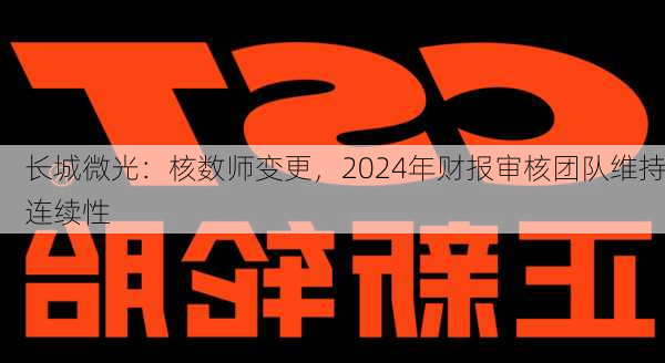 长城微光：核数师变更，2024年财报审核团队维持连续性