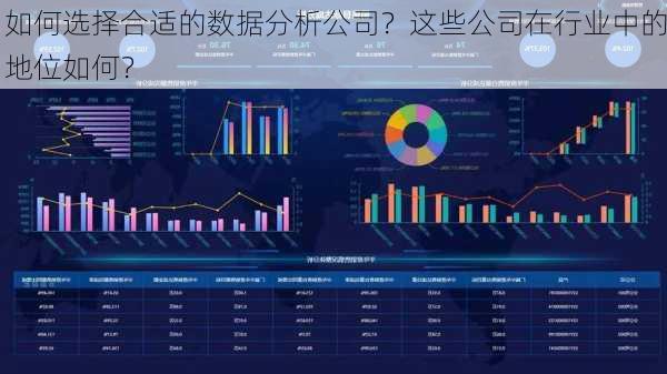 如何选择合适的数据分析公司？这些公司在行业中的地位如何？