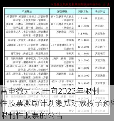 雷电微力:关于向2023年限制性股票激励计划激励对象授予预留限制性股票的公告