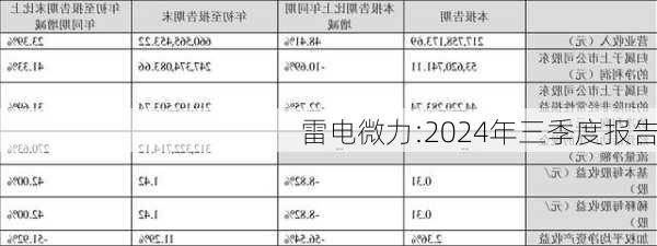 雷电微力:2024年三季度报告