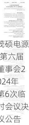 茂硕电源:第六届董事会2024年第6次临时会议决议公告