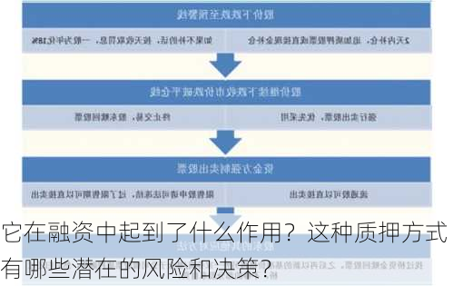 它在融资中起到了什么作用？这种质押方式有哪些潜在的风险和决策？