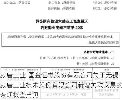 威唐工业:国金证券股份有限公司关于无锡威唐工业技术股份有限公司新增关联交易的专项核查意见