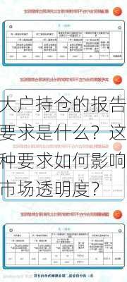 大户持仓的报告要求是什么？这种要求如何影响市场透明度？