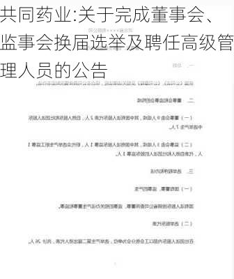 共同药业:关于完成董事会、监事会换届选举及聘任高级管理人员的公告