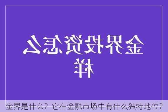 金界是什么？它在金融市场中有什么独特地位？