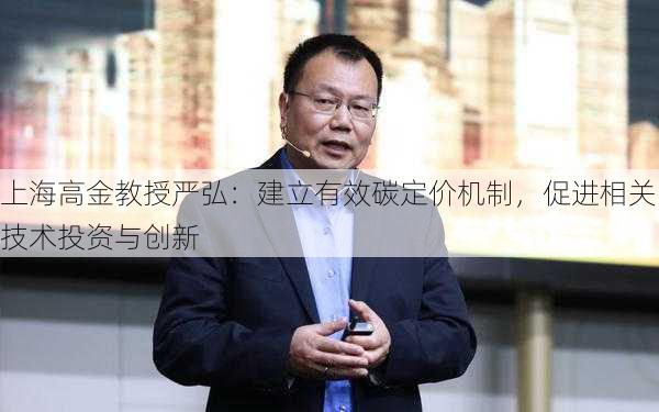 上海高金教授严弘：建立有效碳定价机制，促进相关技术投资与创新