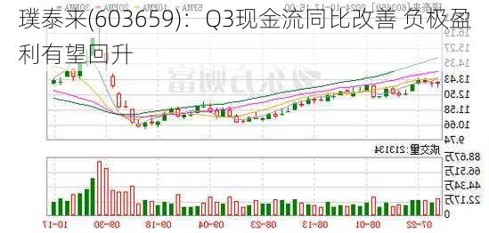 璞泰来(603659)：Q3现金流同比改善 负极盈利有望回升