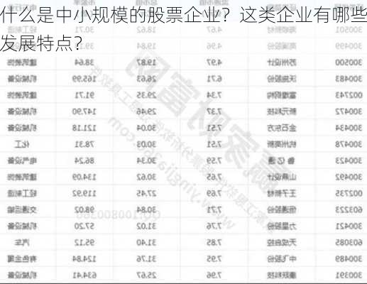 什么是中小规模的股票企业？这类企业有哪些发展特点？