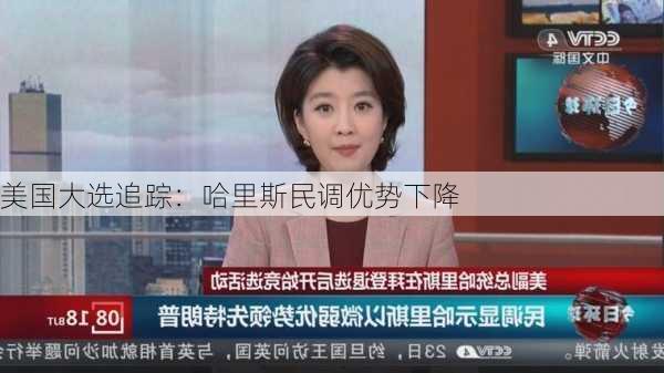 美国大选追踪：哈里斯民调优势下降